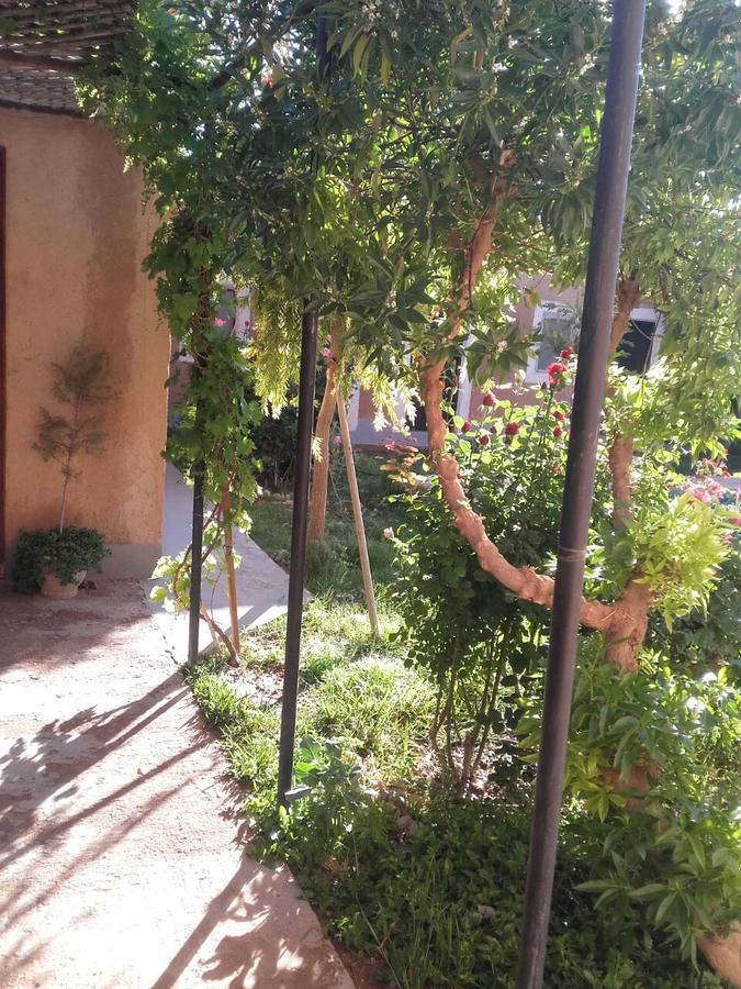 Auberge Toda Ait Igad Ngoại thất bức ảnh